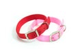 Pet supplies about collars of pink and red for dog.