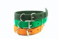 Pet supplies about collars stack for pet