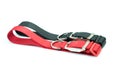 Pet supplies about jumbo size collars for dog