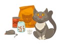 Pet vet veterinary cat food and treatment pills vector flat icon Royalty Free Stock Photo