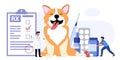 Pet vet veterinary doctor animal clinic Dog pills flat icon Royalty Free Stock Photo