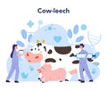 Pet veterinarian concept. Cow-leech, veterinary doctor checking Royalty Free Stock Photo