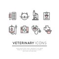 Pet Veterinary Clinic Shop or Centre Royalty Free Stock Photo