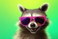 entertainment young music party background fun portrait raccoon glasses pet animal. Generative AI.