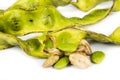 Petai seeds with its seed pods and cluster Royalty Free Stock Photo