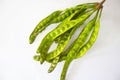 Petai, Twisted cluster bean, Stink bean, Bitter Bean, Parkia speciosa seeds, isolated on white background. Royalty Free Stock Photo