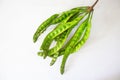 Petai, Twisted cluster bean, Stink bean, Bitter Bean, Parkia speciosa seeds, isolated on white background. Royalty Free Stock Photo