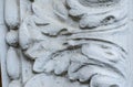 A fragment of white botanical bar-relief. Kharkiv, Ukraine Royalty Free Stock Photo