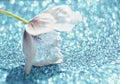 pink flower poppy blue color bokeh background blossom glitter beautiful macro