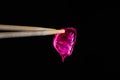 Petal holding chopsticks against black background