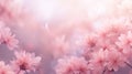 petal pink flower background