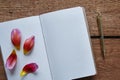 Petals of bloom on blank notebook Royalty Free Stock Photo