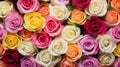 petals bunch roses background