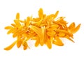 Petals of calendula flowers on white background Royalty Free Stock Photo