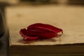 Petals of a flower on old blank open book on wooden background. Menu, recipe Royalty Free Stock Photo