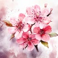 Petals of Hope: Spring Blossoms Rejuvenate the Spirit