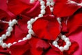 Petals and pearls Royalty Free Stock Photo