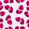 Petals pink pattern colorful abstract background