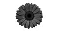 A grayscale image of a daisy-like flower with symmetrical layers of elongated Royalty Free Stock Photo