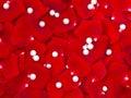 Petals red roses and pearls, background. Top view, flat lay Royalty Free Stock Photo