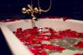 Petals of red roses in a white bathroom with black tiles