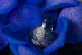 Petals of rose with diamonds Royalty Free Stock Photo