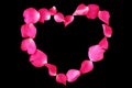 Petals of rose flower in heart shape isolated on black background Royalty Free Stock Photo