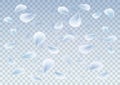 Petals Roses Flowers. White Sakura flying petals isolated on light Blue transparent background. Vector