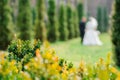 Petals of spring bushes. Elements at a wedding. The lens blur image of couple of groom and bride on a background. Wedding walk in