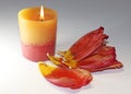 Petals of Tulip flower and candle.