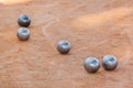 Petanque balls on the ground Royalty Free Stock Photo