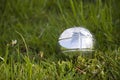 Petanque bowl in grass