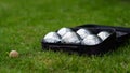 Petanque set with six metal balls in a black case on green grass. Royalty Free Stock Photo