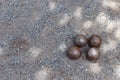 Petanque sport for match Royalty Free Stock Photo