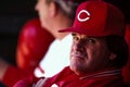 Pete Rose Cincinnati Reds Royalty Free Stock Photo