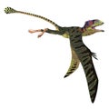 Peteinosaurus Reptile Wings Down