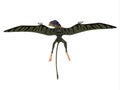 Peteinosaurus Reptile Wings Spread