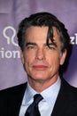 Peter Gallagher Royalty Free Stock Photo