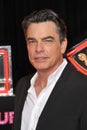 Peter Gallagher Royalty Free Stock Photo