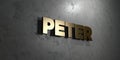 Peter - Gold sign mounted on glossy marble wall - 3D rendered royalty free stock illustration