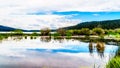 Peter Hope Lake in the Shuswap Highlands in British Columbia, Canada