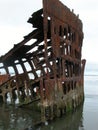 Peter Iredale Shipwreck Royalty Free Stock Photo