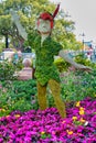 Peter Pan topiary display figure on display at Disney World Royalty Free Stock Photo