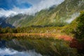 Peter`s Pool, Franz Josef National Park, New Zealand. Mountain landscape, colourful rainforest and glacial lake Royalty Free Stock Photo