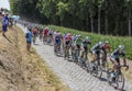 Peter Sagan in the Peloton - Tour de France 2018 Royalty Free Stock Photo