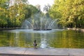 Fountain `Sun` in Peterhof. St. Petersburg.