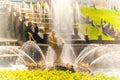 Peterhof fountain