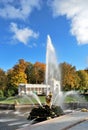 Peterhof. Fountain Samson