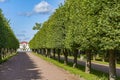 Peterhof, Marlinskaya alley