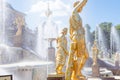 Peterhof Museum-Reserve, famous cascade of fountains fnd golden sculptures near the Peterhof Palace Royalty Free Stock Photo